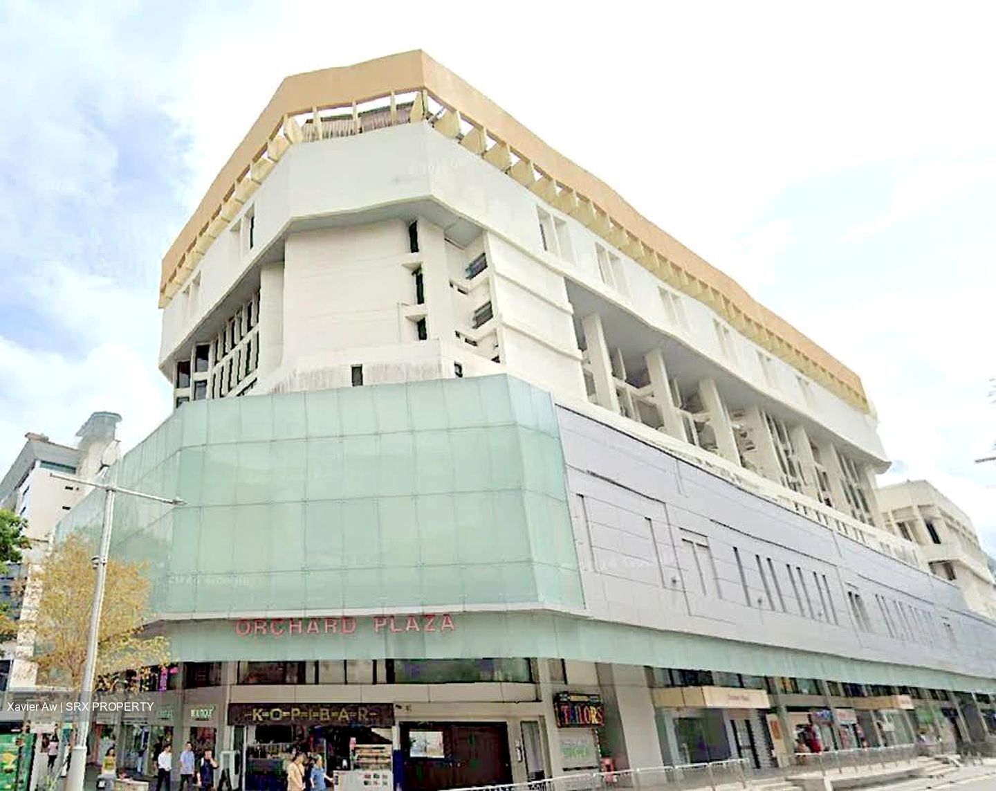 Orchard Plaza (D9), Shop House #558395501